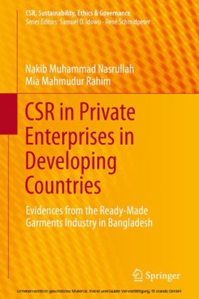 CSR in Private Enterprises in Developing Countries