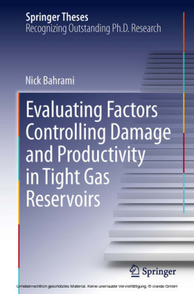 Evaluating Factors Controlling Damage and Productivity in Tight Gas Reservoirs
