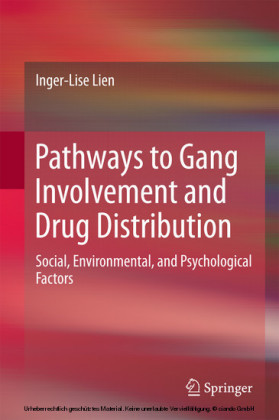 Pathways to Gang Involvement and Drug Distribution