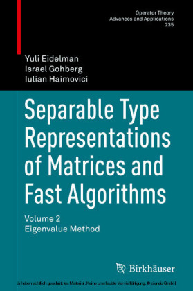 Separable Type Representations of Matrices and Fast Algorithms