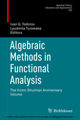Algebraic Methods in Functional Analysis