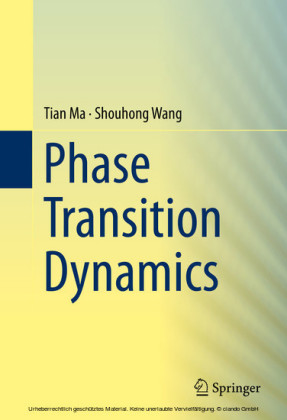 Phase Transition Dynamics