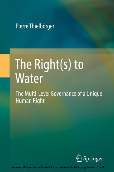 The Right(s) to Water main product photo
