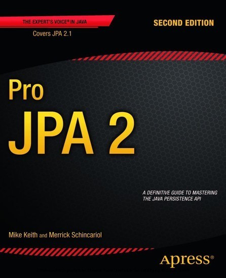 Pro JPA 2 main product photo