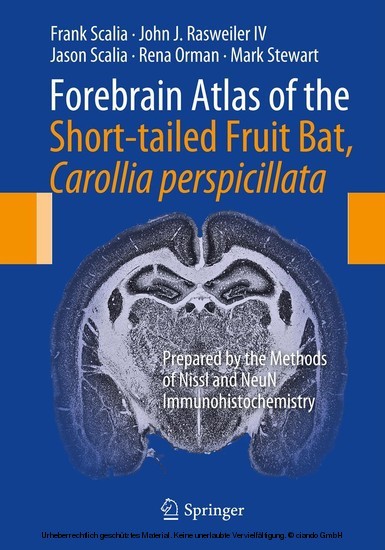 Forebrain Atlas of the Short-tailed Fruit Bat, Carollia perspicillata main product photo
