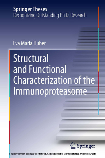 Structural and Functional Characterization of the Immunoproteasome main product photo