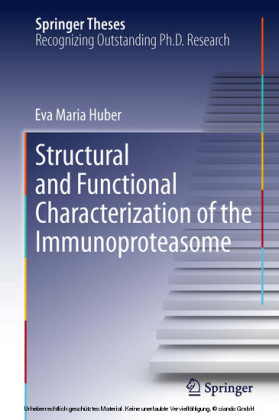 Structural and Functional Characterization of the Immunoproteasome