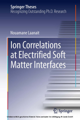 Ion Correlations at Electrified Soft Matter Interfaces