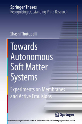 Towards Autonomous Soft Matter Systems