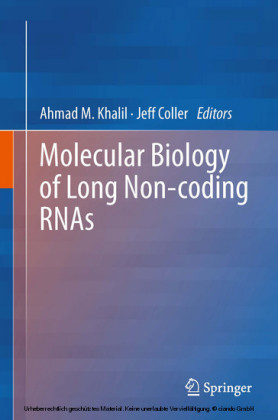 Molecular Biology of Long Non-coding RNAs