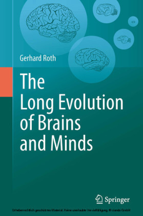 The Long Evolution of Brains and Minds