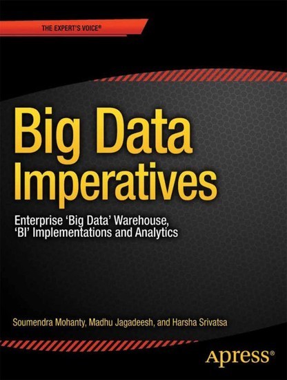 Big Data Imperatives main product photo