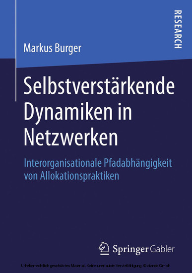 Selbstverstärkende Dynamiken in Netzwerken main product photo