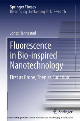 Fluorescence in Bio-inspired Nanotechnology