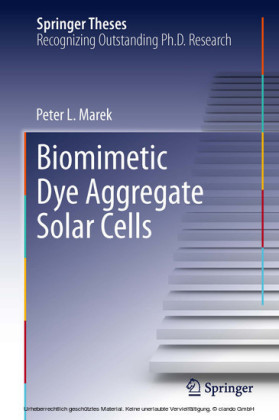 Biomimetic Dye Aggregate Solar Cells