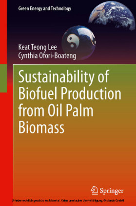 Sustainability of Biofuel Production from Oil Palm Biomass