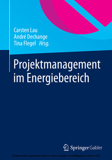 Projektmanagement im Energiebereich main product photo