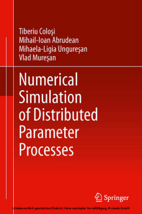 Numerical Simulation of Distributed Parameter Processes