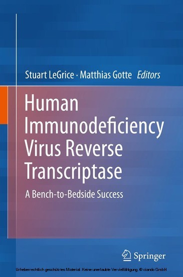 Human Immunodeficiency Virus Reverse Transcriptase main product photo