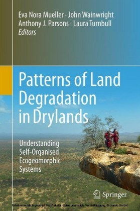 Patterns of Land Degradation in Drylands