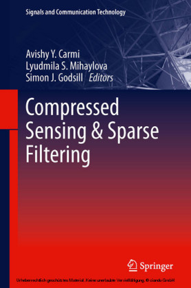 Compressed Sensing & Sparse Filtering