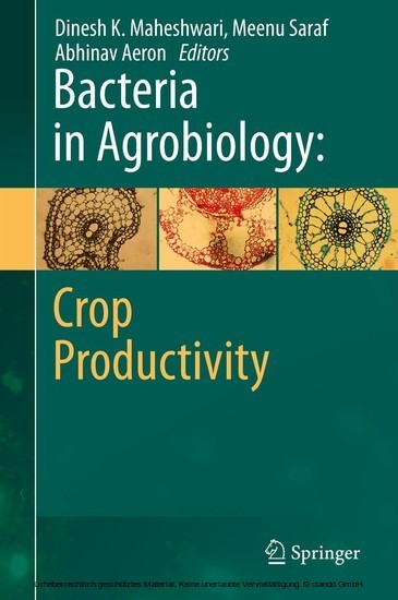 Bacteria in Agrobiology: Crop Productivity main product photo