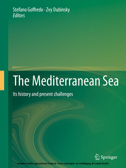 The Mediterranean Sea main product photo