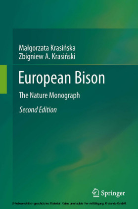 European Bison
