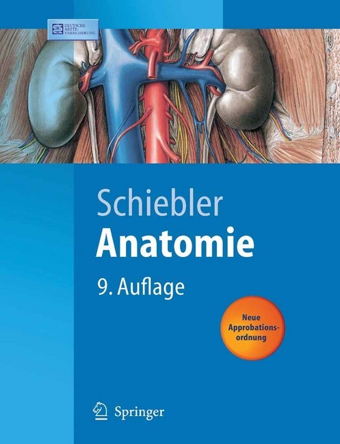 Anatomie main product photo