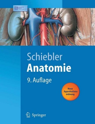 Anatomie