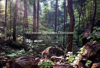 All meine geliebten Dämonen