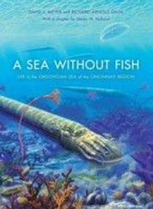 Sea Without Fish