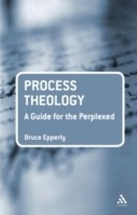 Process Theology: A Guide for the Perplexed main product photo