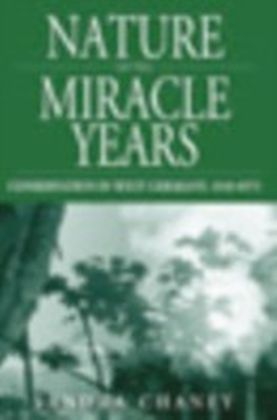 Nature Of The Miracle Years