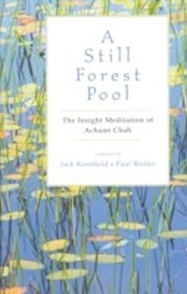 Still Forest Pool