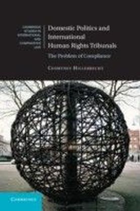 Domestic Politics and International Human Rights Tribunals