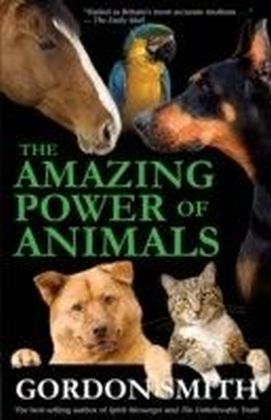 Amazing Power of Animals