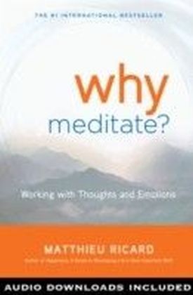 Why Meditate?