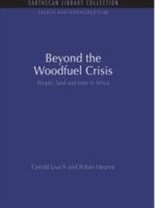 Beyond the Woodfuel Crisis main product photo
