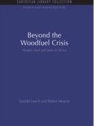 Beyond the Woodfuel Crisis