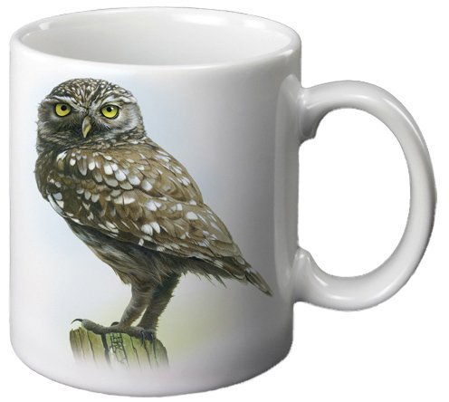 Künstlerbecher "Steinkauz" main product photo