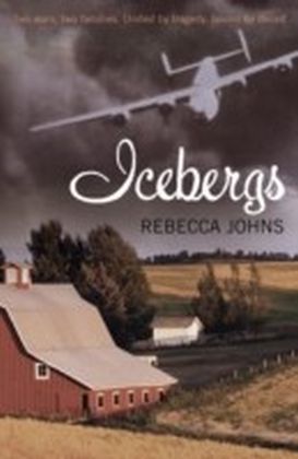 Icebergs main product photo