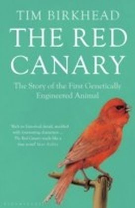 Red Canary main product photo