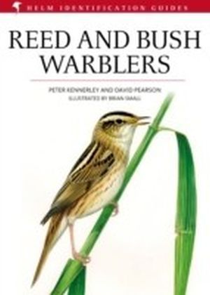 Reed and Bush Warblers