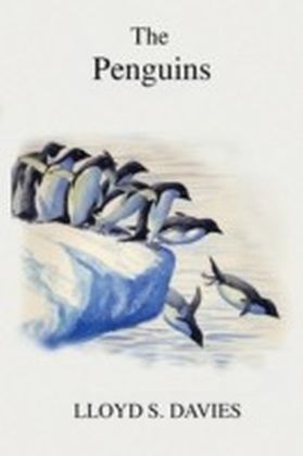 Penguins