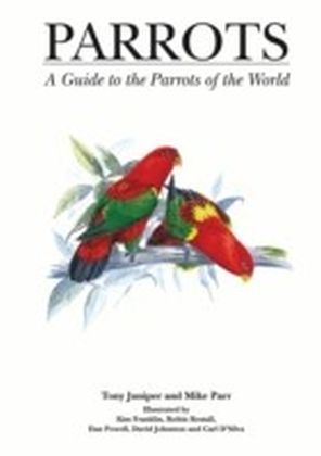 Parrots