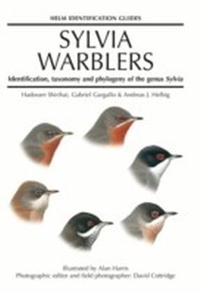 Sylvia Warblers