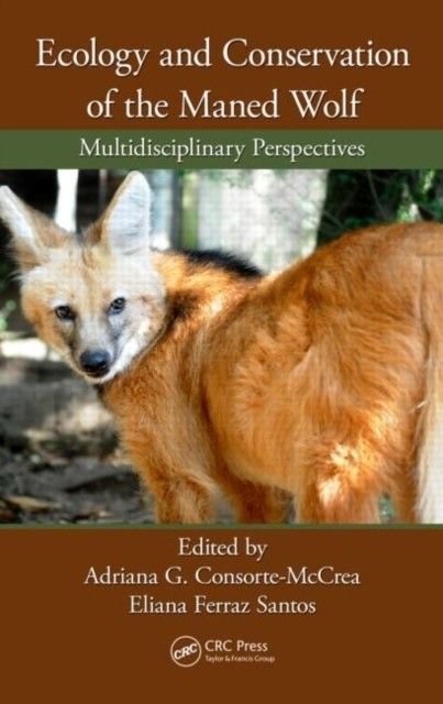 Ecology and Conservation of the Maned Wolf main product photo