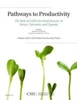 Pathways to Productivity main product photo