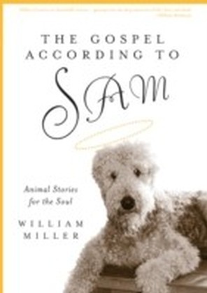 Gospel According to Sam main product photo